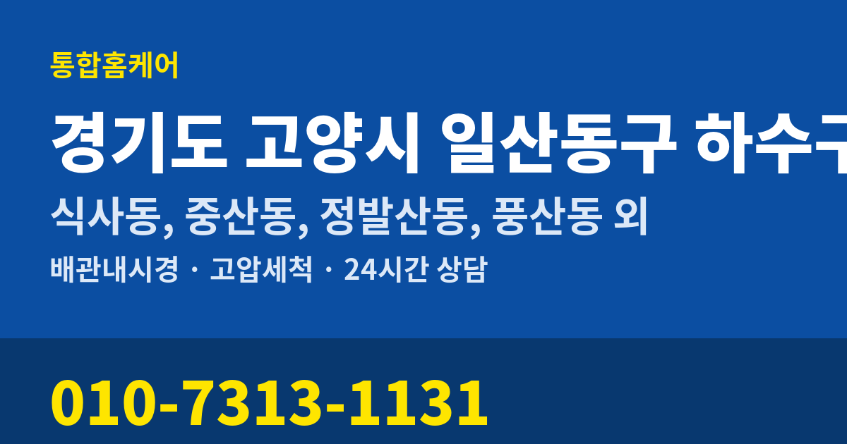 경기도 고양시 일산동구 하수구막힘 통합홈케어 010-7313-1131
