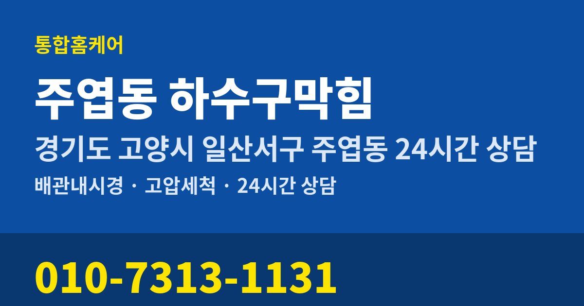주엽동 하수구막힘 통합홈케어 010-7313-1131