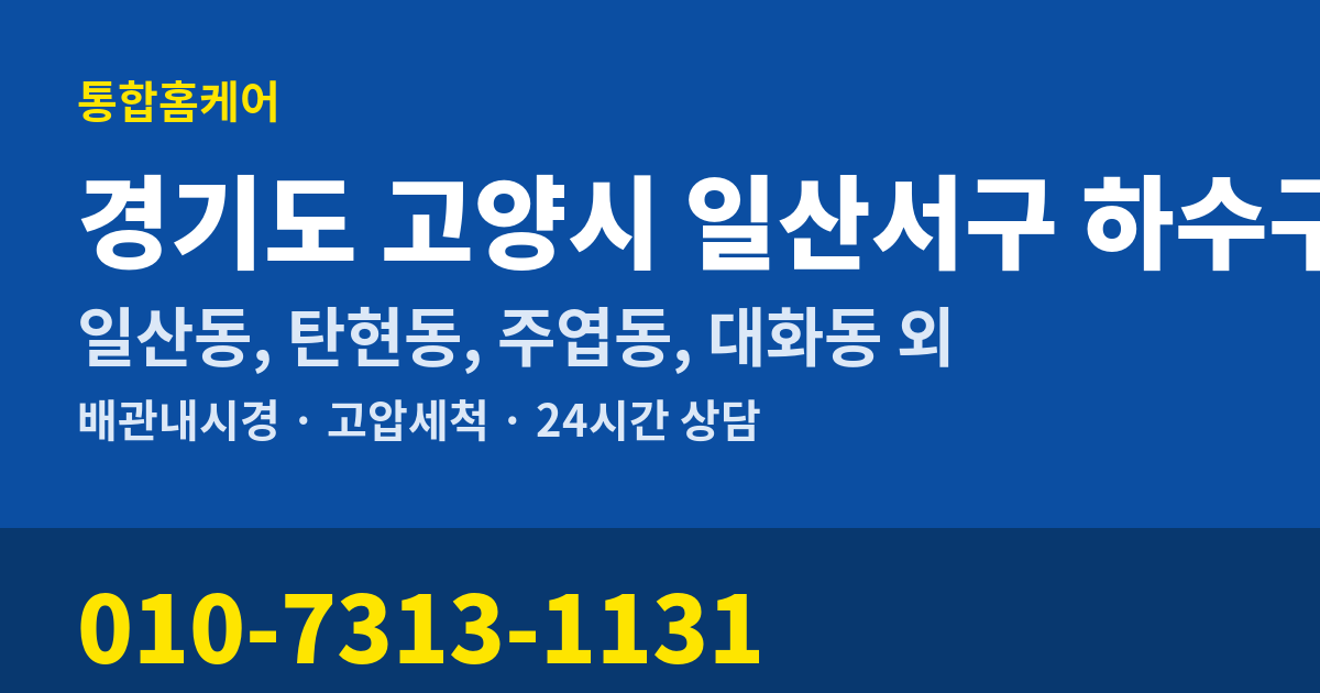경기도 고양시 일산서구 하수구막힘 통합홈케어 010-7313-1131